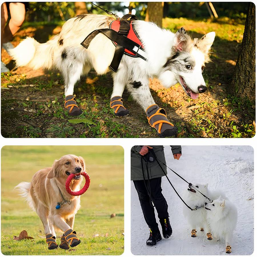 Chausson waterproof et respirant pour chiens