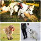 Chausson waterproof et respirant pour chiens