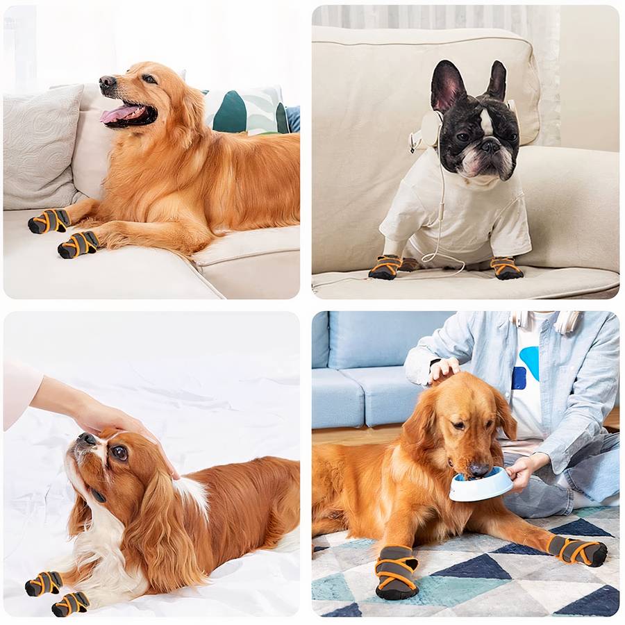 Chausson waterproof et respirant pour chiens