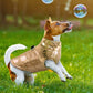 Manteau imperméable et chaud pour chien