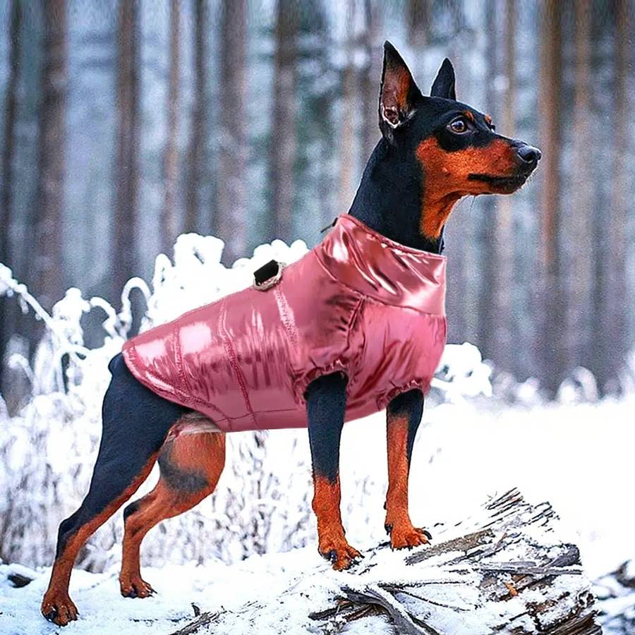 Manteau imperméable et chaud pour chien